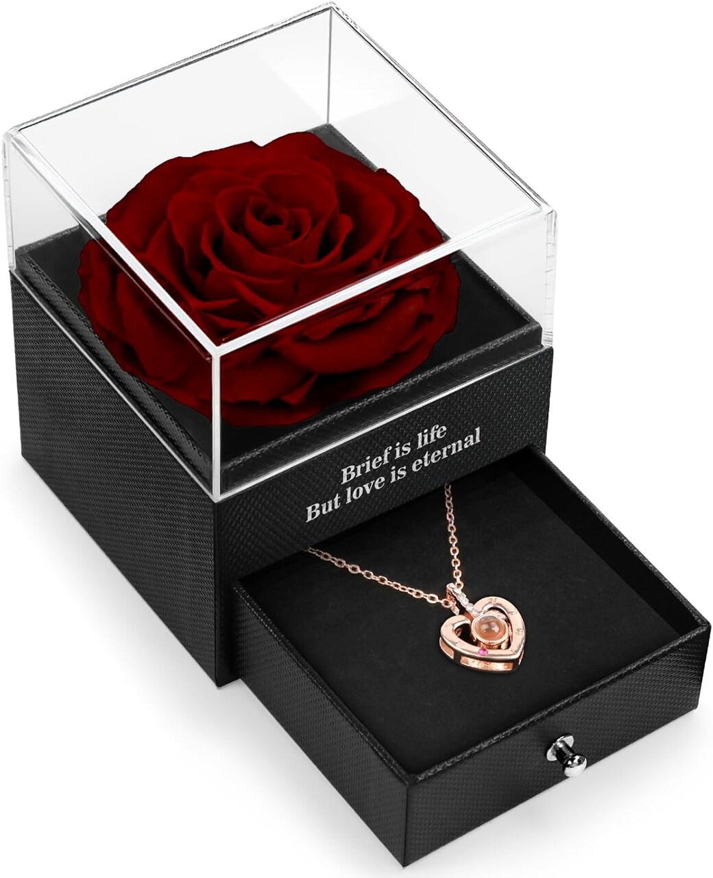 Her Preserved Real Rose with I Love You Necklace in 100 Language